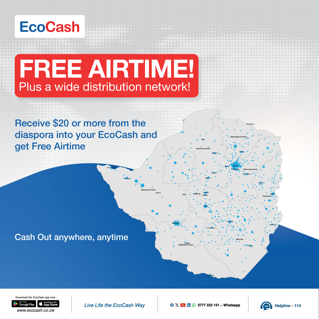 EcoCash Local Remittances