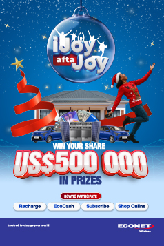 The Econet Christmas Promo