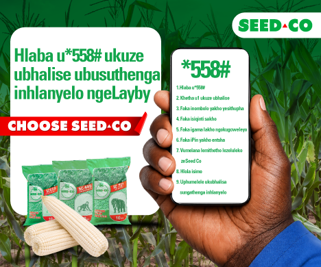 SEDCO USSD Competition